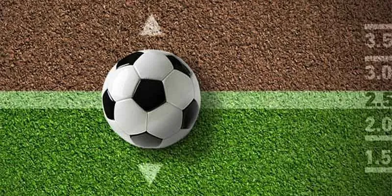 Thuật ngữ phổ biến của kèo châu Âu